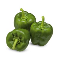 Capsicum